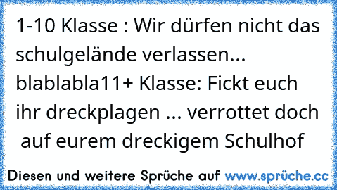 1-10 Klasse : Wir dürfen nicht das schulgelände verlassen... blablabla
11+ Klasse: Fickt euch ihr dreckplagen ... verrottet doch  auf eurem dreckigem Schulhof