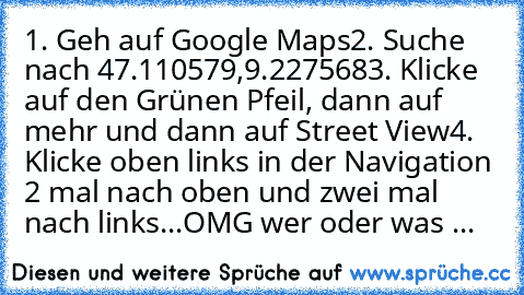 1. Geh auf Google Maps
2. Suche nach 47.110579,9.227568
3. Klicke auf den Grünen Pfeil, dann auf mehr und dann auf Street View
4. Klicke oben links in der Navigation 2 mal nach oben und zwei mal nach links...
OMG wer oder was ...