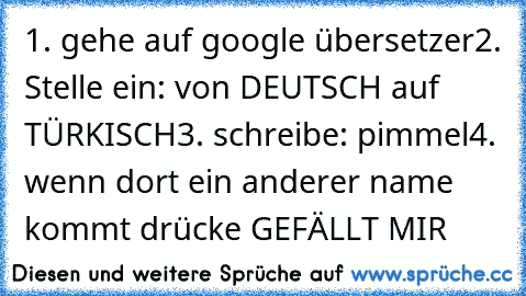 1. gehe auf google übersetzer
2. Stelle ein: von DEUTSCH auf TÜRKISCH
3. schreibe: pimmel
4. wenn dort ein anderer name kommt drücke GEFÄLLT MIR