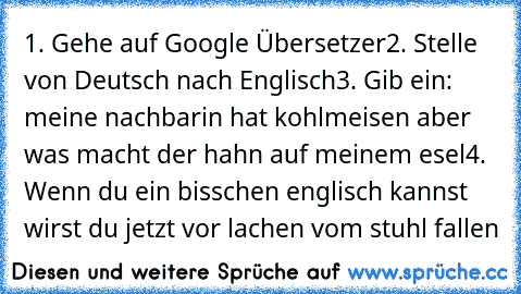 1. Gehe auf Google Übersetzer
2. Stelle von Deutsch nach Englisch
3. Gib ein: meine nachbarin hat kohlmeisen aber was macht der hahn auf meinem esel
4. Wenn du ein bisschen englisch kannst wirst du jetzt vor lachen vom stuhl fallen