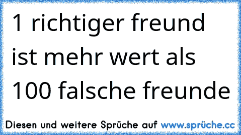 1 richtiger freund ist mehr wert als 100 falsche freunde ♥