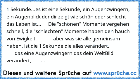 1 Sekunde
...es ist eine Sekunde, ein Augenzwingern, ein Augenblick der dir zeigt wie schön oder schlecht das Leben ist...
      Die "schönen" Momente vergehen schnell, die "schlechten" Momente haben den hauch von Ewigkeit,
              aber was sie alle gemeinsam haben, ist die 1 Sekunde die alles verändert,
                            das eine Augenzwingern das dein WeltBild verändert,
     ...