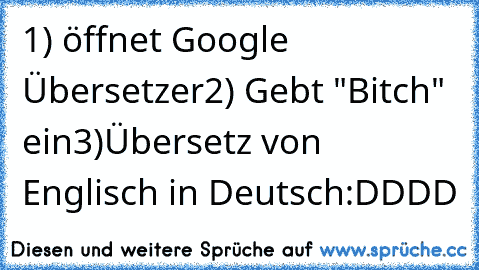 1) öffnet Google Übersetzer
2) Gebt "Bitch" ein
3)Übersetz von Englisch in Deutsch
:DDDD