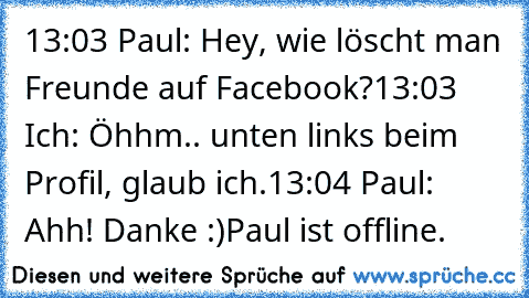 13:03 Paul: Hey, wie löscht man Freunde auf Facebook?
13:03 Ich: Öhhm.. unten links beim Profil, glaub ich.
13:04 Paul: Ahh! Danke :)
Paul ist offline.