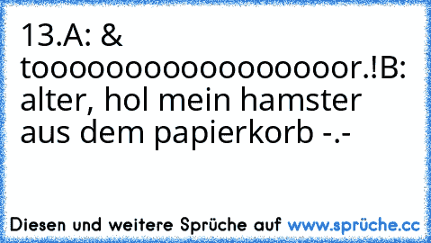 13.A: & tooooooooooooooooor.!
B: alter, hol mein hamster aus dem papierkorb -.-