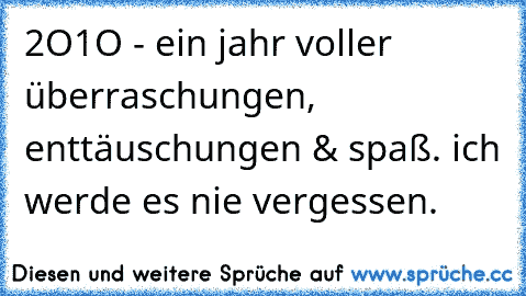 2O1O - ein jahr voller überraschungen, enttäuschungen & spaß. ich werde es nie vergessen. ♥