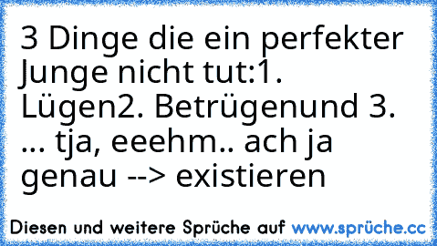 3 Dinge die ein perfekter Junge nicht tut:
1. Lügen
2. Betrügen
und 3.   ... tja, eeehm.. ach ja genau --> existieren