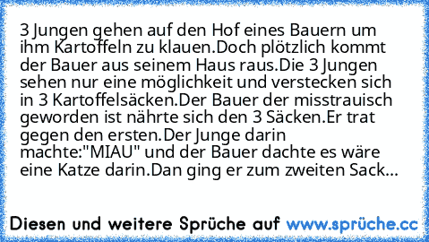 3 Jungen gehen auf den Hof eines Bauern um ihm Kartoffeln zu klauen.
Doch plötzlich kommt der Bauer aus seinem Haus raus.Die 3 Jungen sehen nur eine möglichkeit und verstecken sich in 3 Kartoffelsäcken.
Der Bauer der misstrauisch geworden ist nährte sich den 3 Säcken.
Er trat gegen den ersten.
Der Junge darin machte:"MIAU" und der Bauer dachte es wäre eine Katze darin.
Dan ging er zum zweiten S...