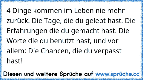 4 Dinge kommen im Leben nie mehr zurück! Die Tage, die du gelebt hast. Die Erfahrungen die du gemacht hast. Die Worte die du benutzt hast, und vor allem: Die Chancen, die du verpasst hast! ♥