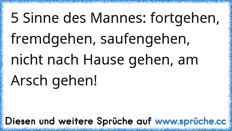 5 Sinne des Mannes: fortgehen, fremdgehen, saufengehen, nicht nach Hause gehen, am Arsch gehen!