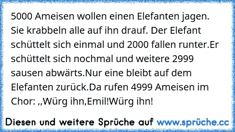 5000 Ameisen wollen einen Elefanten jagen. Sie krabbeln alle auf ihn drauf. Der Elefant schüttelt sich einmal und 2000 fallen runter.Er schüttelt sich nochmal und weitere 2999 sausen abwärts.
Nur eine bleibt auf dem Elefanten zurück.
Da rufen 4999 Ameisen im Chor: ,,Würg ihn,Emil!Würg ihn!