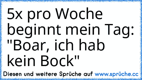 5x pro Woche beginnt mein Tag: "Boar, ich hab kein Bock"