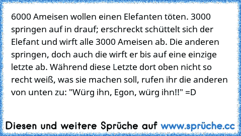 6000 Ameisen wollen einen Elefanten töten. 3000 springen auf in drauf; erschreckt schüttelt sich der Elefant und wirft alle 3000 Ameisen ab. Die anderen springen, doch auch die wirft er bis auf eine einzige letzte ab. Während diese Letzte dort oben nicht so recht weiß, was sie machen soll, rufen ihr die anderen von unten zu: "Würg ihn, Egon, würg ihn!!" =D