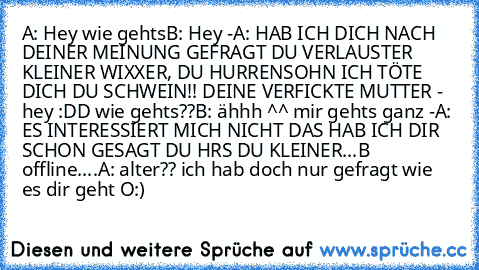 A: Hey wie gehts
B: Hey -
A: HAB ICH DICH NACH DEINER MEINUNG GEFRAGT DU VERLAUSTER KLEINER WIXXER, DU HURRENSOHN ICH TÖTE DICH DU SCHWEIN!! DEINE VERFICKTE MUTTER - hey :DD wie gehts??
B: ähhh ^^ mir gehts ganz -
A: ES INTERESSIERT MICH NICHT DAS HAB ICH DIR SCHON GESAGT DU HRS DU KLEINER...
B offline....
A: alter?? ich hab doch nur gefragt wie es dir geht O:)