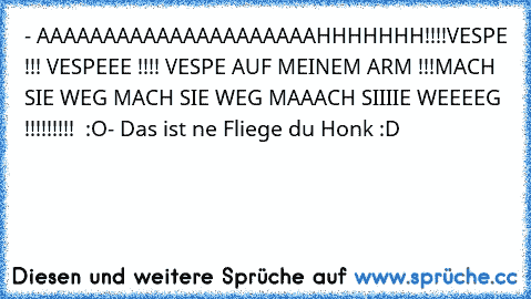 - AAAAAAAAAAAAAAAAAAAAAHHHHHHH!!!!
VESPE !!! VESPEEE !!!! VESPE AUF MEINEM ARM !!!
MACH SIE WEG MACH SIE WEG MAAACH SIIIIE WEEEEG !!!!!!!!!  :O
- Das ist ne Fliege du Honk :D