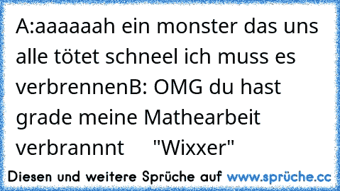 A:aaaaaah ein monster das uns alle tötet schneel ich muss es verbrennen
B: OMG du hast grade meine Mathearbeit verbrannnt
     "Wixxer"