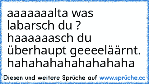 aaaaaaalta was labarsch du ? haaaaaasch du überhaupt geeeeläärnt. 
hahahahahahahahaha