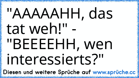 "AAAAAHH, das tat weh!" - "BEEEEHH, wen interessierts?"