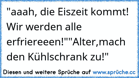 "aaah, die Eiszeit kommt! Wir werden alle erfriereeen!"
"Alter,mach den Kühlschrank zu!"