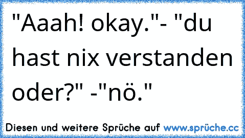 "Aaah! okay."- "du hast nix verstanden oder?" -"nö."