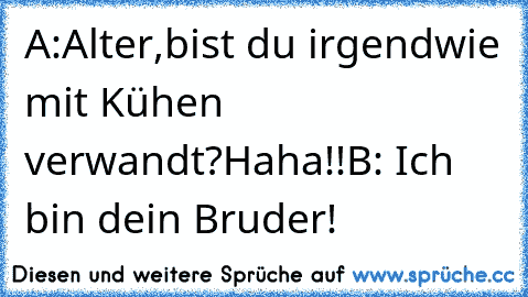 A:Alter,bist du irgendwie mit Kühen verwandt?Haha!!
B: Ich bin dein Bruder!