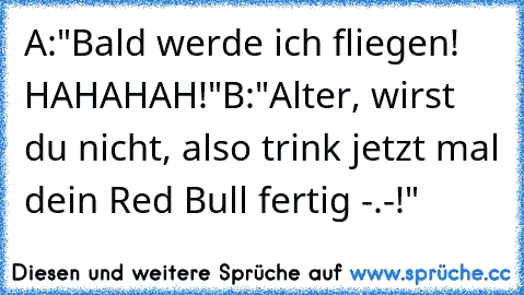 A:"Bald werde ich fliegen! HAHAHAH!"
B:"Alter, wirst du nicht, also trink jetzt mal dein Red Bull fertig -.-!"