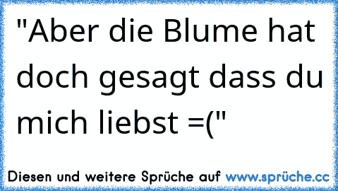 "Aber die Blume hat doch gesagt dass du mich liebst =("