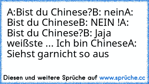 A:Bist du Chinese?
B: nein
A: Bist du Chinese
B: NEIN !
A: Bist du Chinese?
B: Jaja  weißste ... Ich bin Chinese
A: Siehst garnicht so aus