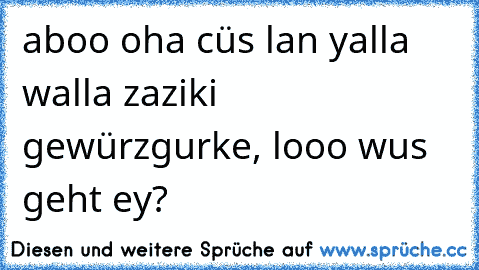 aboo oha cüs lan yalla walla zaziki gewürzgurke, looo wus geht ey?