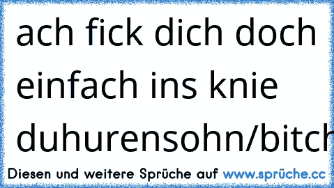 ach fick dich doch einfach ins knie du
hurensohn/bitch