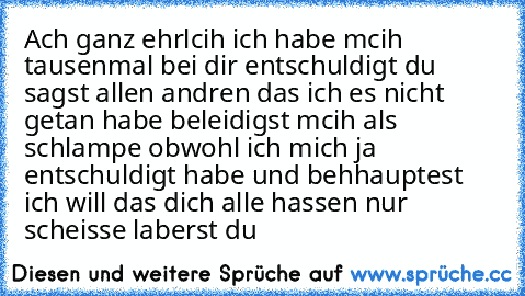 Ach ganz ehrlcih ich habe mcih tausenmal bei dir entschuldigt du sagst allen andren das ich es nicht getan habe beleidigst mcih als schlampe obwohl ich mich ja entschuldigt habe und behhauptest ich will das dich alle hassen nur scheisse laberst du