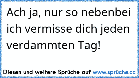 Ach ja, nur so nebenbei ich vermisse dich jeden verdammten Tag!♥