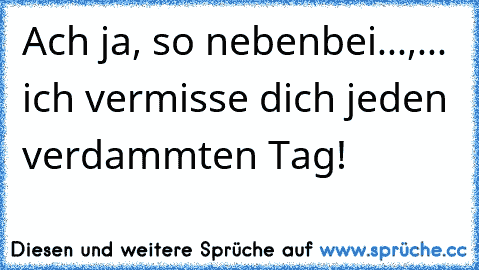 Ach ja, so nebenbei...,... ich vermisse dich jeden verdammten Tag!