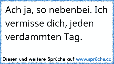 Ach ja, so nebenbei. Ich vermisse dich, jeden verdammten Tag.