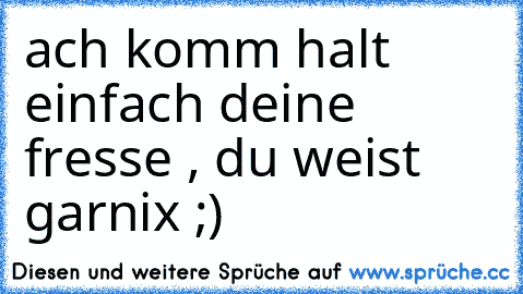 ach komm halt einfach deine fresse , du weist garnix ;)