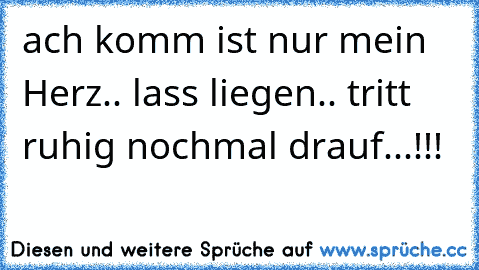 ach komm ist nur mein Herz.. lass liegen.. tritt ruhig nochmal drauf...!!!