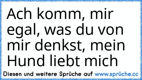 Ach komm, mir egal, was du von mir denkst, mein Hund liebt mich ♥