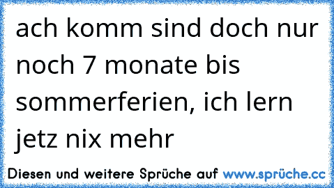 ach komm sind doch nur noch 7 monate bis sommerferien, ich lern jetz nix mehr