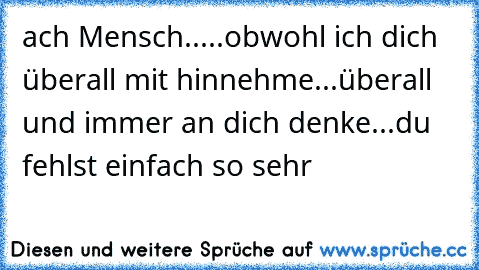 ach Mensch.....obwohl ich dich überall mit hinnehme...überall und immer an dich denke...du fehlst einfach so sehr