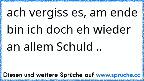 ach vergiss es, am ende bin ich doch eh wieder an allem Schuld ..