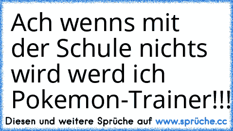 Ach wenns mit der Schule nichts wird werd ich Pokemon-Trainer!!!