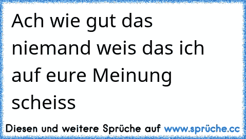 Ach wie gut das niemand weis das ich auf eure Meinung scheiss