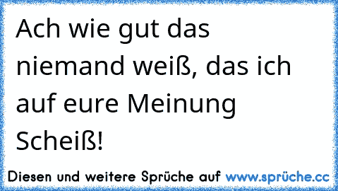 Ach wie gut das niemand weiß, das ich auf eure Meinung Scheiß!