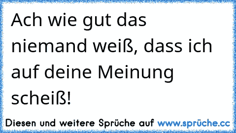 Ach wie gut das niemand weiß, dass ich auf deine Meinung scheiß!