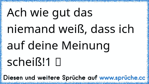 Ach wie gut das niemand weiß, dass ich auf deine Meinung scheiß!1 ツ