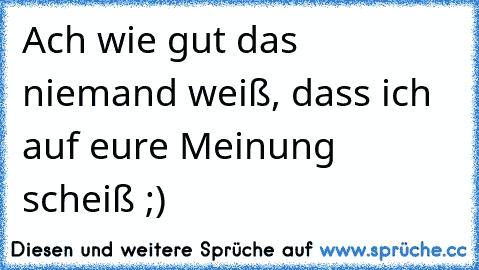 Ach wie gut das niemand weiß, dass ich auf eure Meinung scheiß ;)