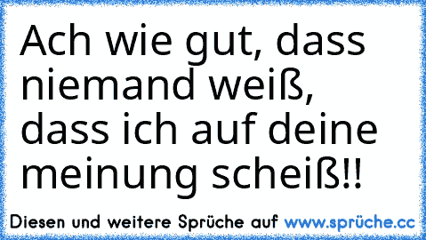 Ach wie gut, dass niemand weiß, dass ich auf deine meinung scheiß!!