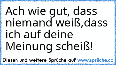 Ach wie gut, dass niemand weiß,dass ich auf deine Meinung scheiß!