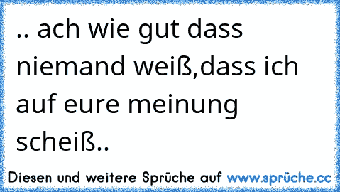 .. ach wie gut dass niemand weiß,dass ich auf eure meinung scheiß..