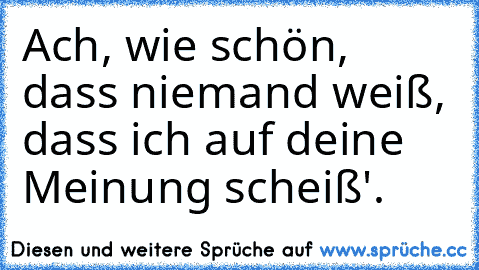 Ach, wie schön, dass niemand weiß, dass ich auf deine Meinung scheiß'.